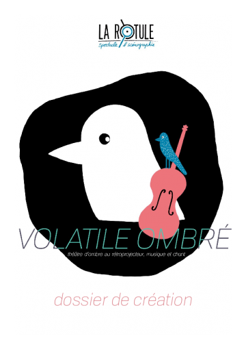 Volatile Ombré // Dossier pédagogique